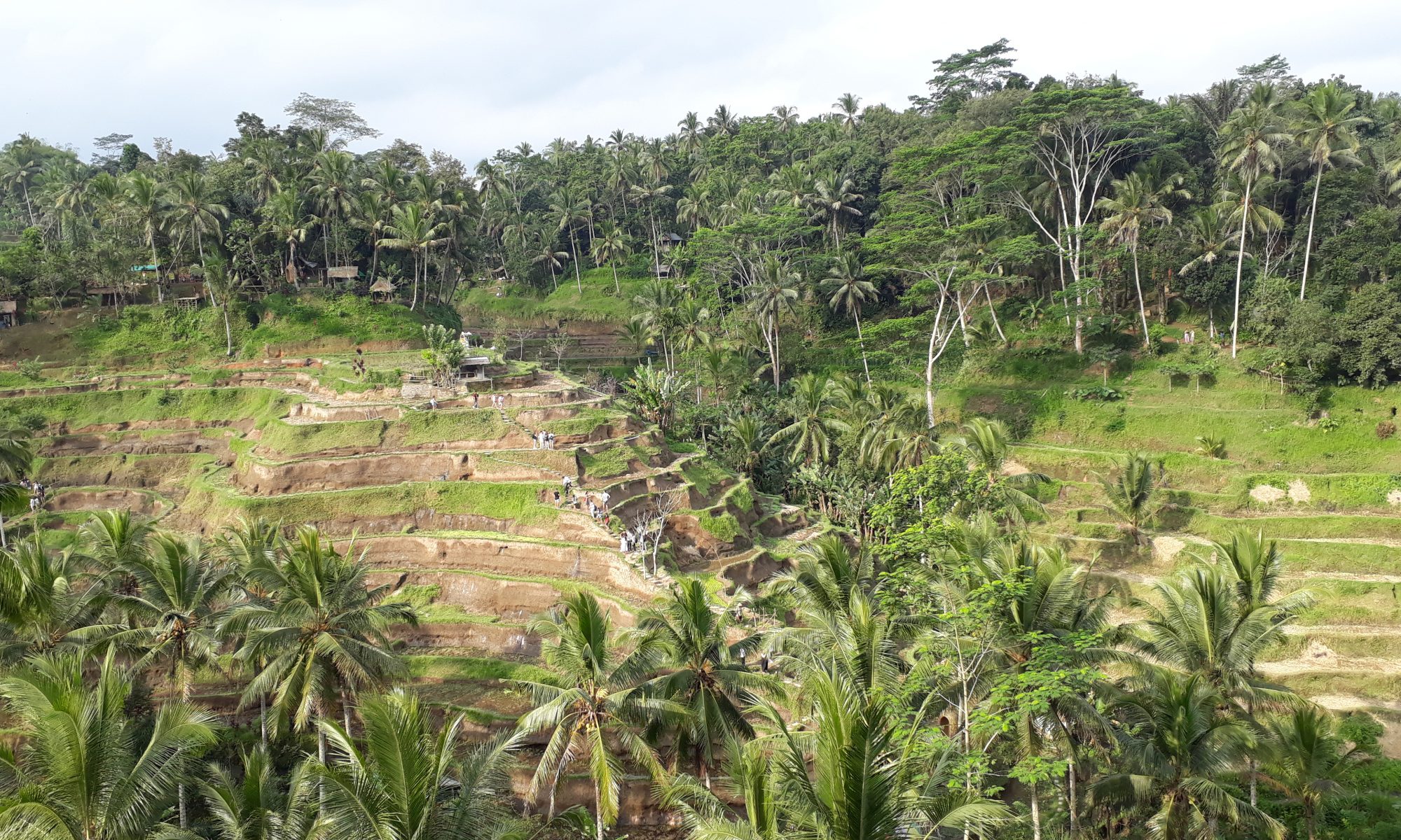 bali-on-the-road-risaie-travelling-monica-cruciani