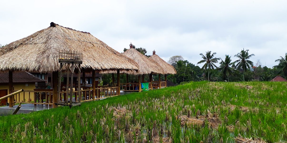 campuhan-ridge-walk.warung-bali-ubud