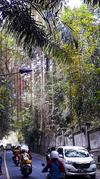 jl-raya-ubud-parte-alta-bali.