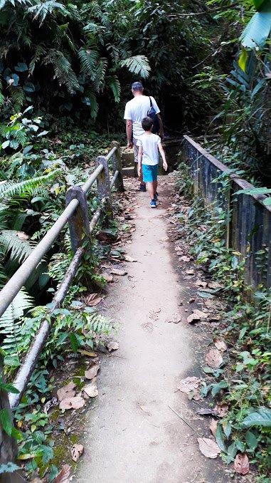 kajen-rice-field-walk-escursione-ubud-bali