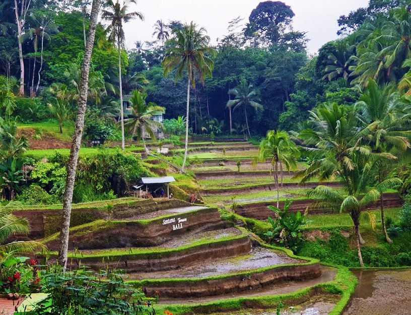 tegalalang-ubud-bali