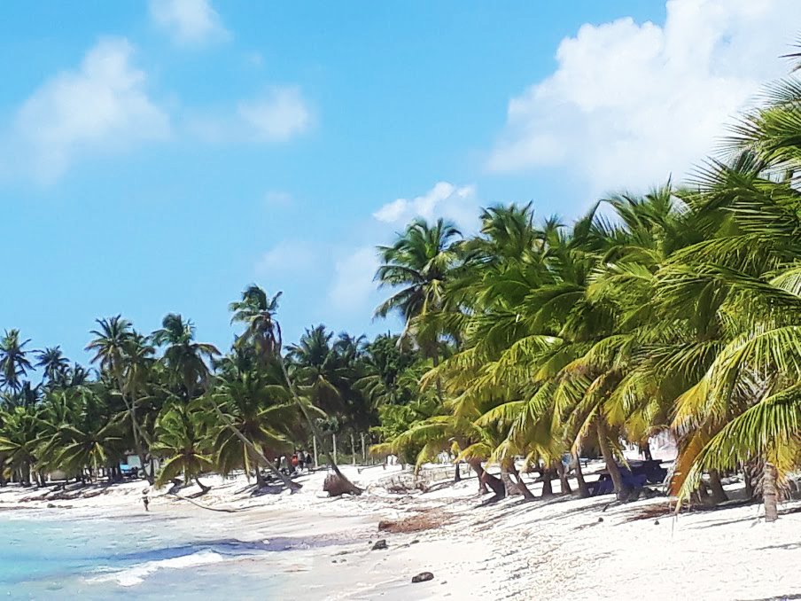 isola-saona-bayahibe-mariposa-tour-repubblica-dominicana